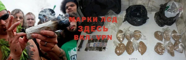 стаф Алексин
