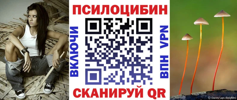 Галлюциногенные грибы Psilocybe Грязовец